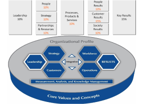 Business Excellence System Implementation